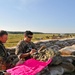 Exercise Northern Strike 2012