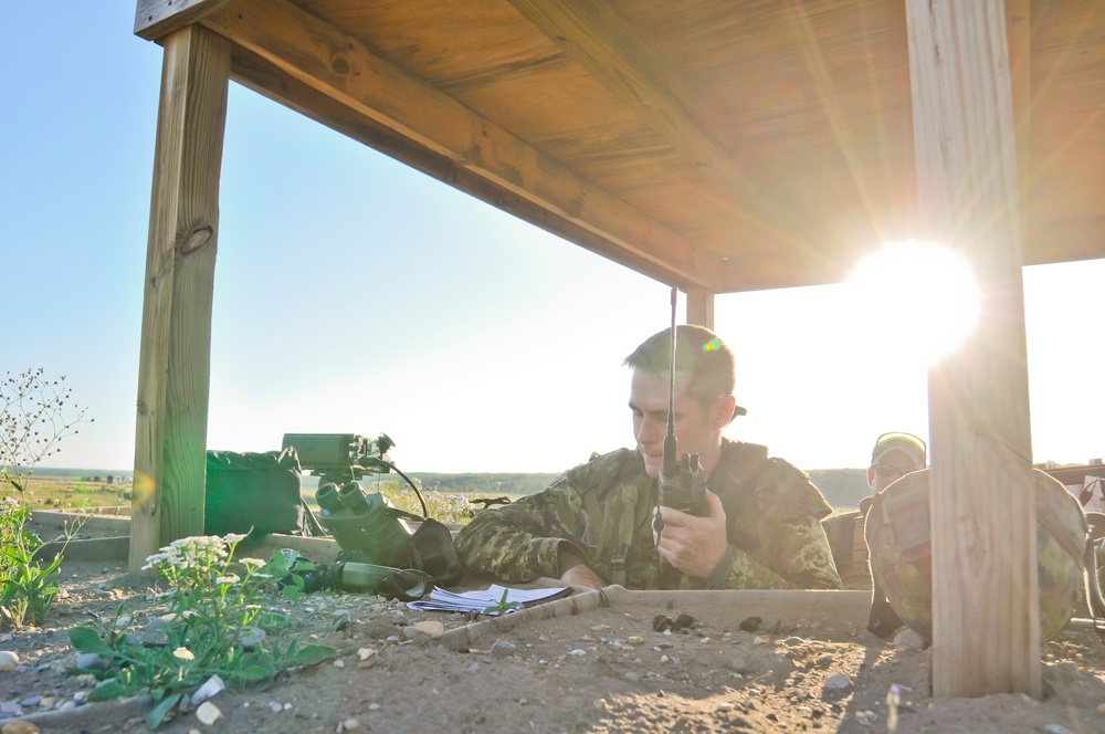Exercise Northern Strike 2012