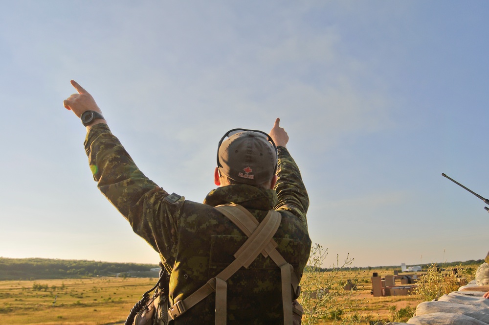 Exercise Northern Strike 2012