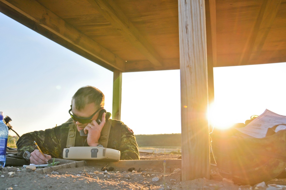 Exercise Northern Strike 2012