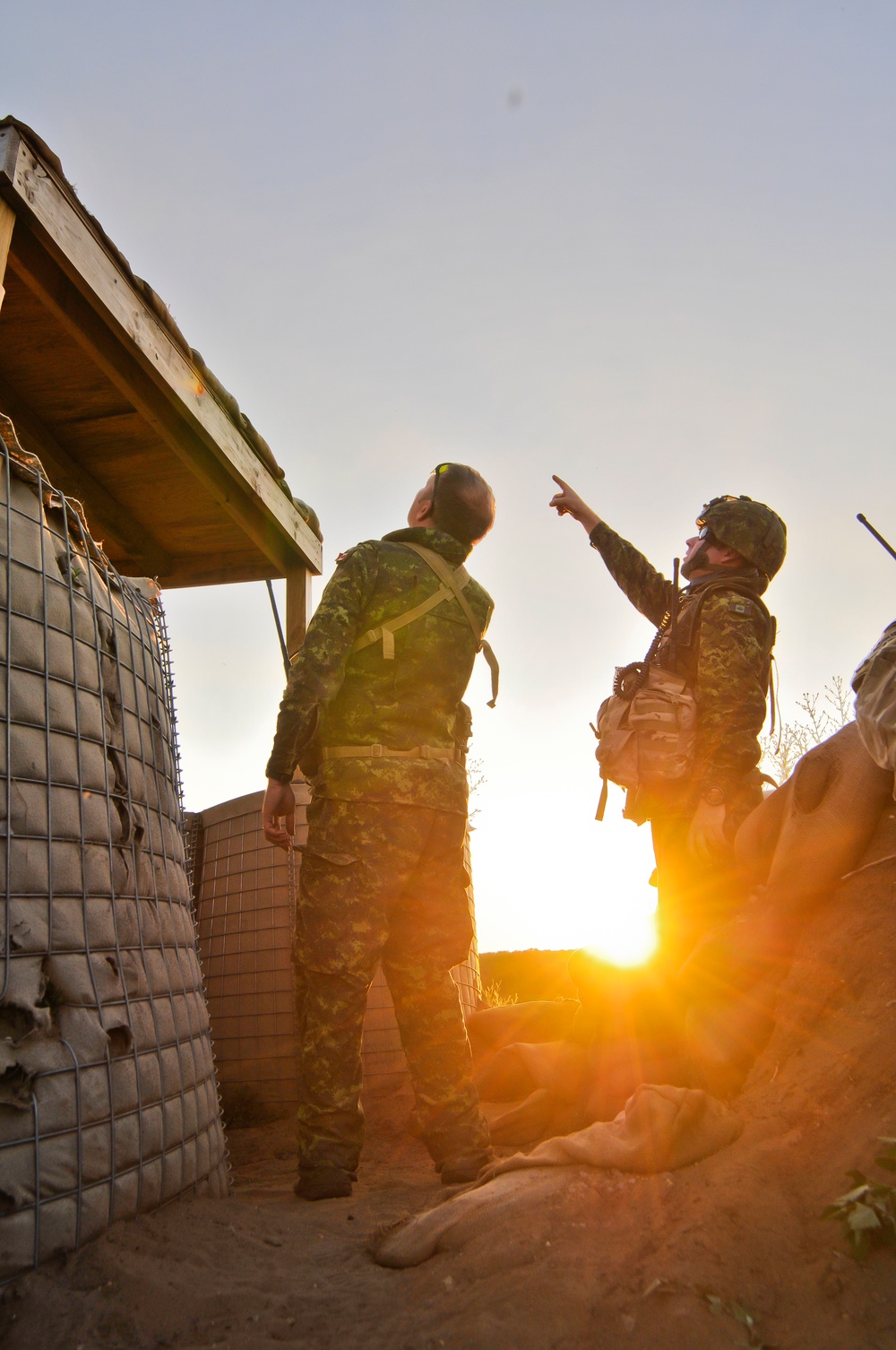 Exercise Northern Strike 2012