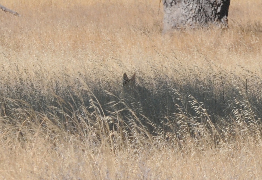 Encounters with a Game Warden - Tales from the Field