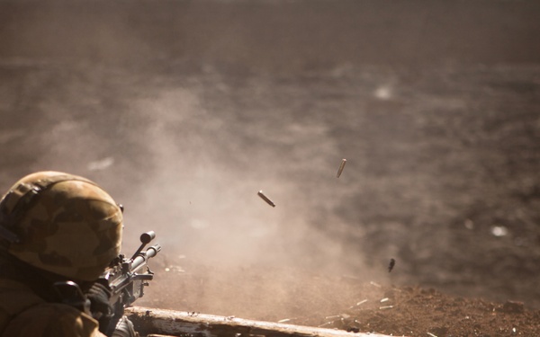 Aussie, Kiwi soldiers and US, Tongan Marines conduct live-fire training during RIMPAC 2012