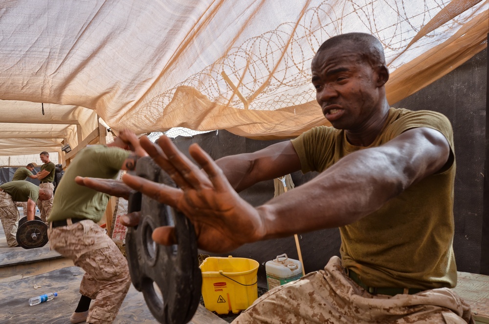 Marines sacrifice personal time, complete Martial Arts Instructor Course