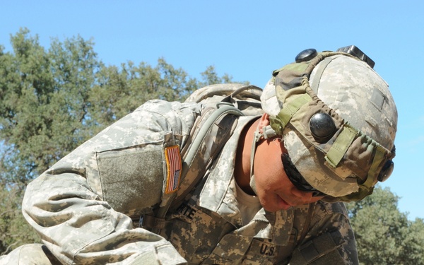 Bringing it down nail-by-nail