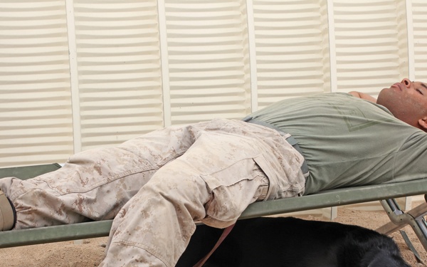 1st Law Enforcement Battalion