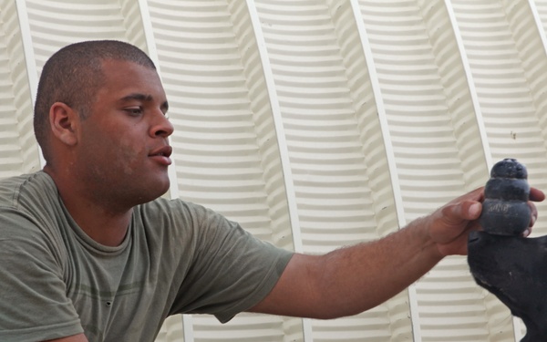 1st Law Enforcement Battalion