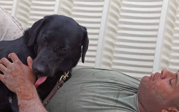 1st Law Enforcement Battalion