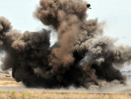 217th EOD, law enforcement team up for training