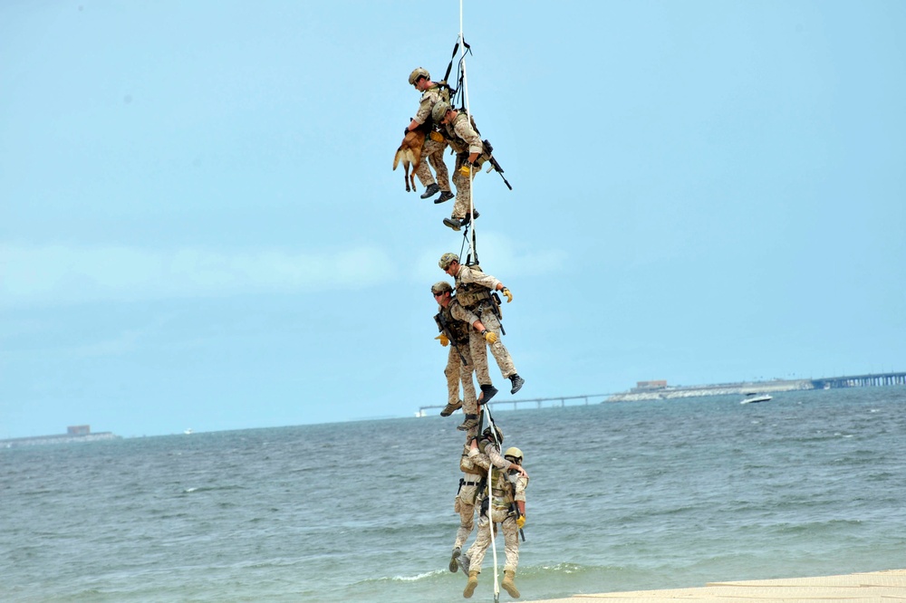 43rd annual Underwater Demolition Team in Virginia Beach