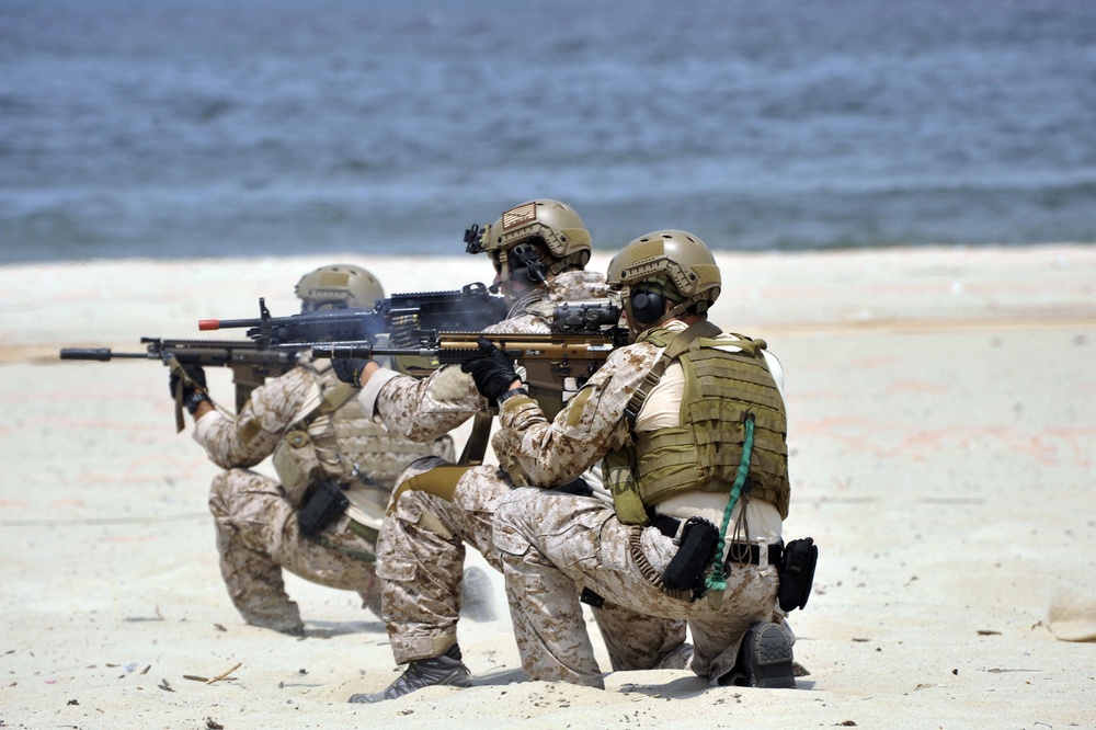 43rd annual Underwater Demolition Team in Virginia Beach