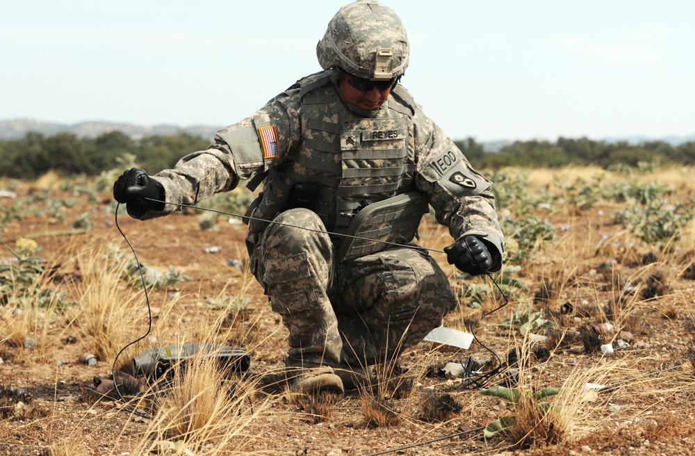 217TH EOD annual training