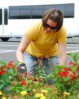 VP-8 beautifies Misawa Park