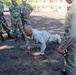 Comoros, Texas National guardsmen 'push up' from a common ground