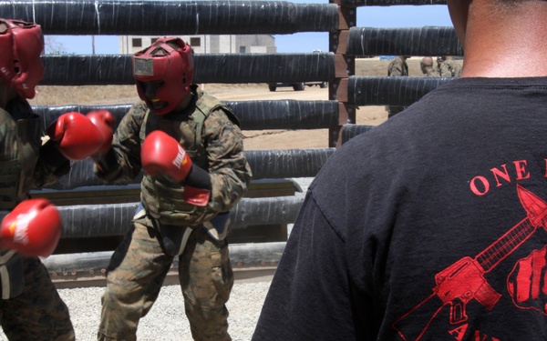 Recruits train in hand-to-hand combat