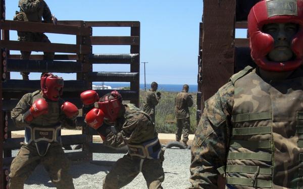 Recruits train in hand-to-hand combat
