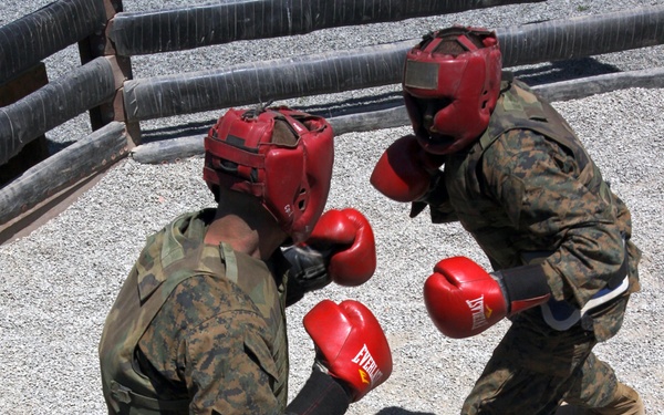 Recruits train in hand-to-hand combat