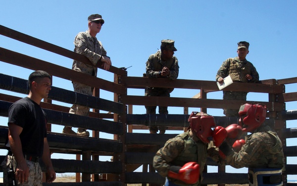 Recruits train in hand-to-hand combat