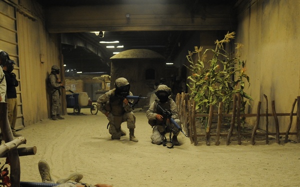 Headquarters and Headquarters Squadron Deployment for Training 2012 Operation Tsunami