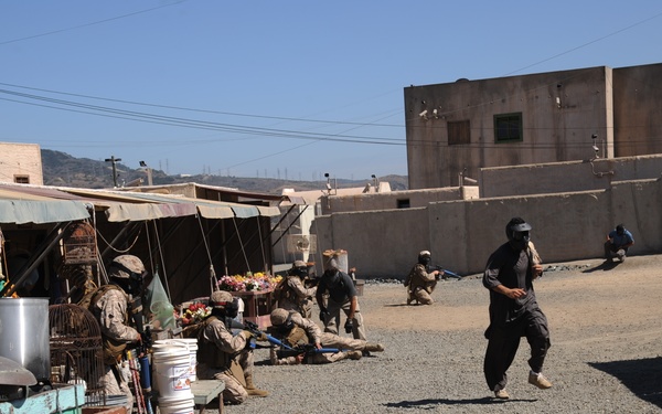 Headquarters and Headquarters Squadron Deployment for Training 2012 Operation Tsunami