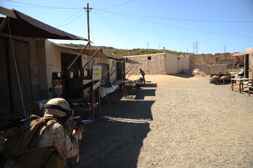 Headquarters and Headquarters Squadron Deployment for Training 2012 Operation Tsunami
