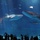 Service members experience deep-sea life