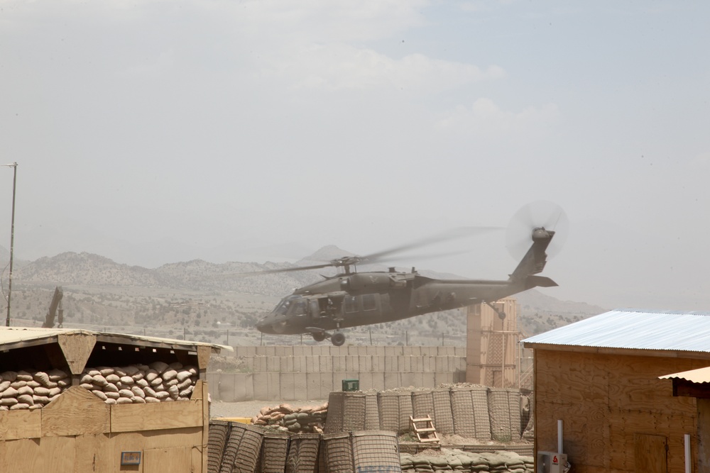 ANA general inspection