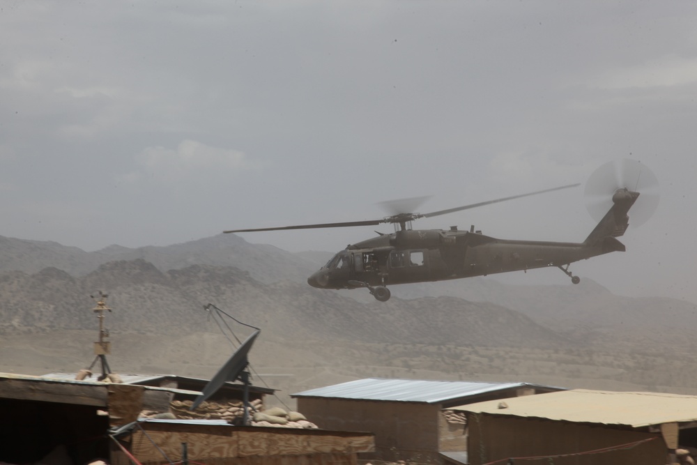 ANA general inspection