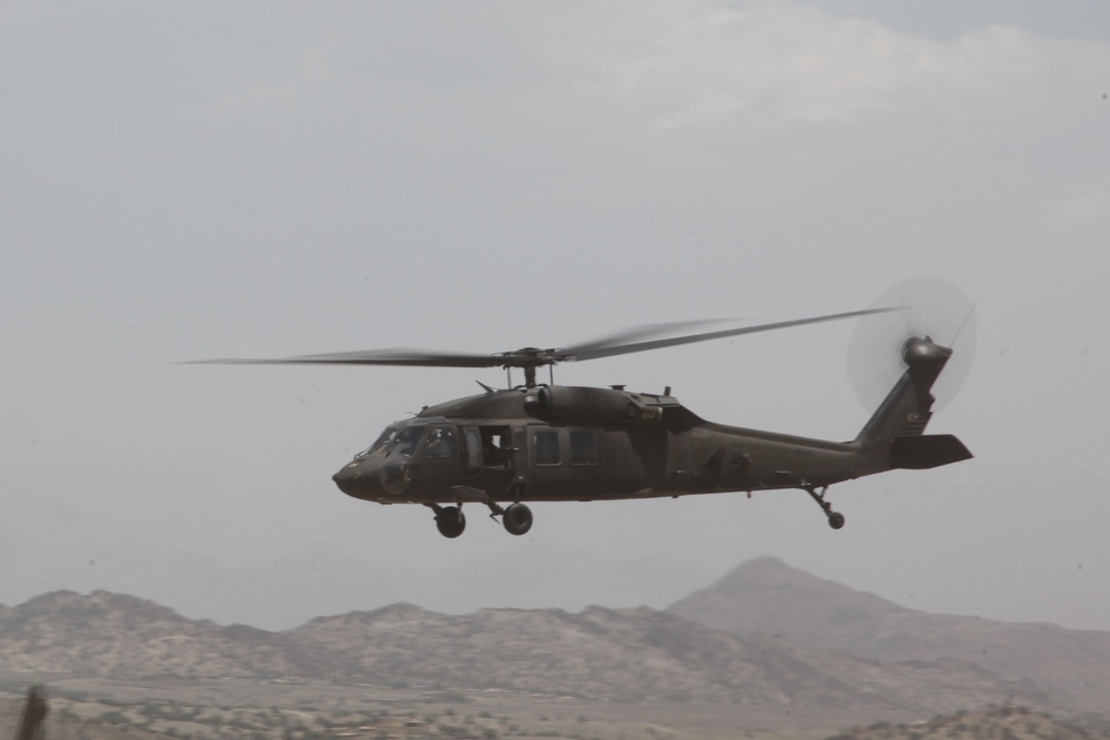 ANA general inspection