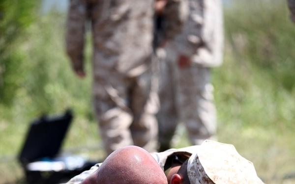 8th ESB trains with LWPS's