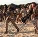 SCTF APS 12 partners with French Marines