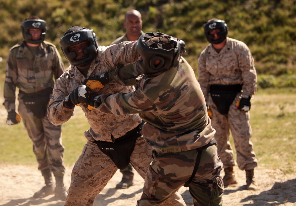 SCTF APS 12 partners with French Marines