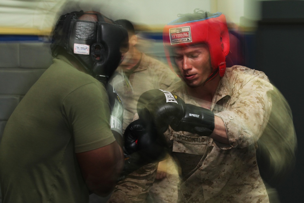 U.S Marines train to become martial arts instructors in Kuwait