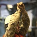 Combat Cargo takes on full-size responsibility
