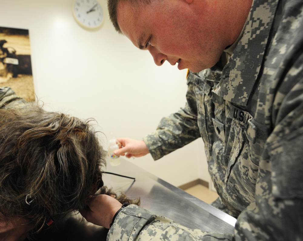 Veterinary staff keeps pets healthy, happy