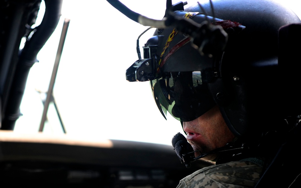 Exercise Vibrant Response 13