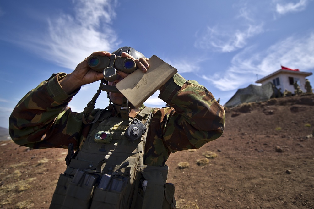 RIMPAC 2012 Multinational Fire Support Training