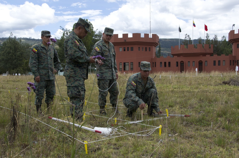 Humanitarian demining