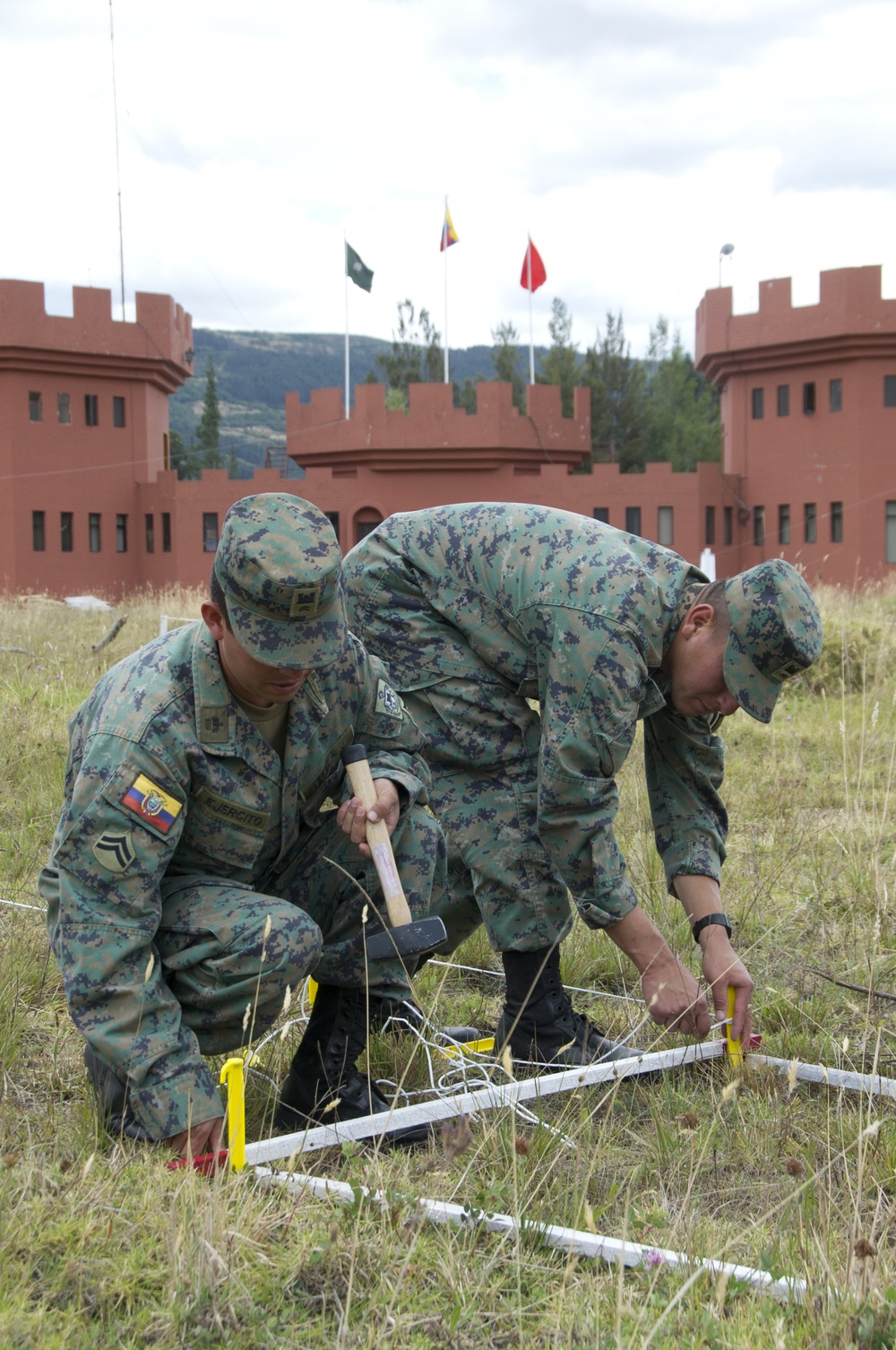 Humanitarian demining