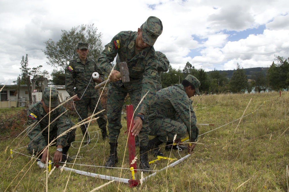 Humanitarian demining