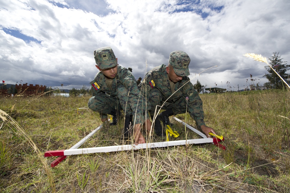 Humanitarian demining