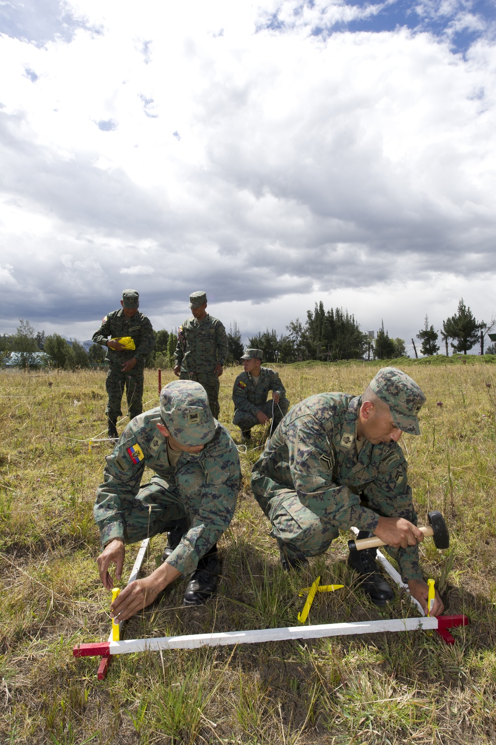 Humanitarian demining