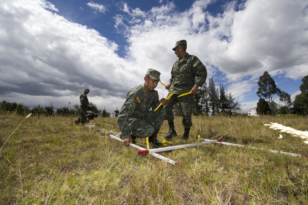 Humanitarian demining