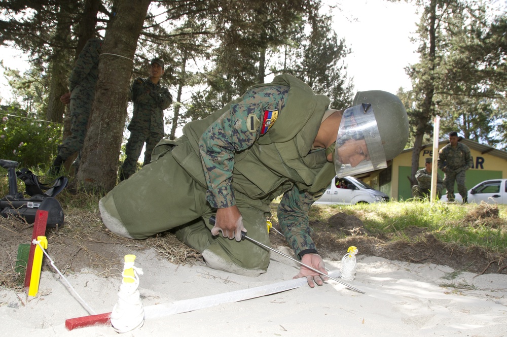 Humanitarian demining