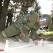 Humanitarian demining