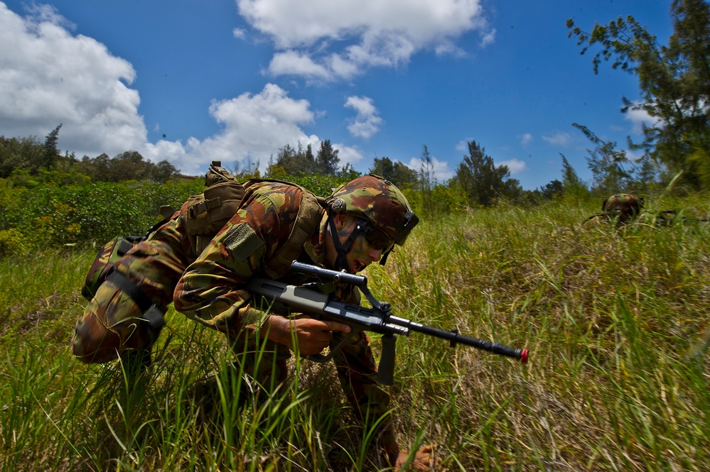 RIMPAC 2012