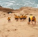 Seabees Pt in The Sand