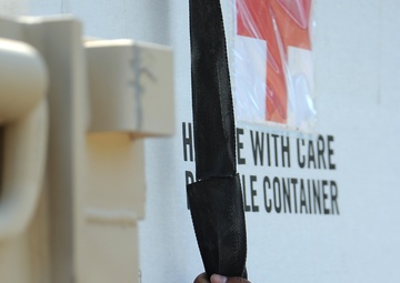 Exercise Vibrant Response 13