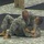 Team Minnesota places sixth at All-Army Combatives Tournament
