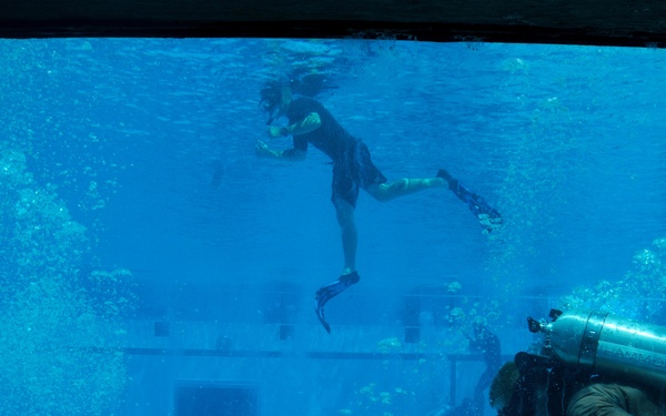 Second Phase Basic Underwater and Demolition/SEAL